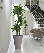 Carica immagine nel visualizzatore Galleria, LIKEN - VASO ALTO