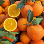 Carica immagine nel visualizzatore Galleria, PIANTA DI ARANCIO NAVEL in vaso 24 - età 3/4 anni (foto reali)