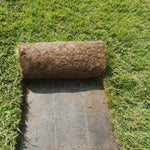 Carica immagine nel visualizzatore Galleria, PRATO INGLESE NATURALE A ROTOLI ( festuca + poa )