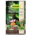 TERRICCIO PER PIANTE GRASSE 5LT TERFLOR