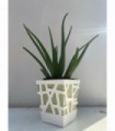 PIANTA DI ALOE VERA in vaso MOSAIC cm 16