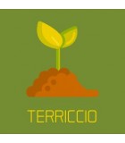 Terriccio