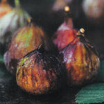 Carica immagine nel visualizzatore Galleria, FICO - FIORONE FICO DI TERLIZZI - Ficus carica
