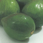 Carica immagine nel visualizzatore Galleria, FICO - FIORONE VERDINO - Ficus carica
