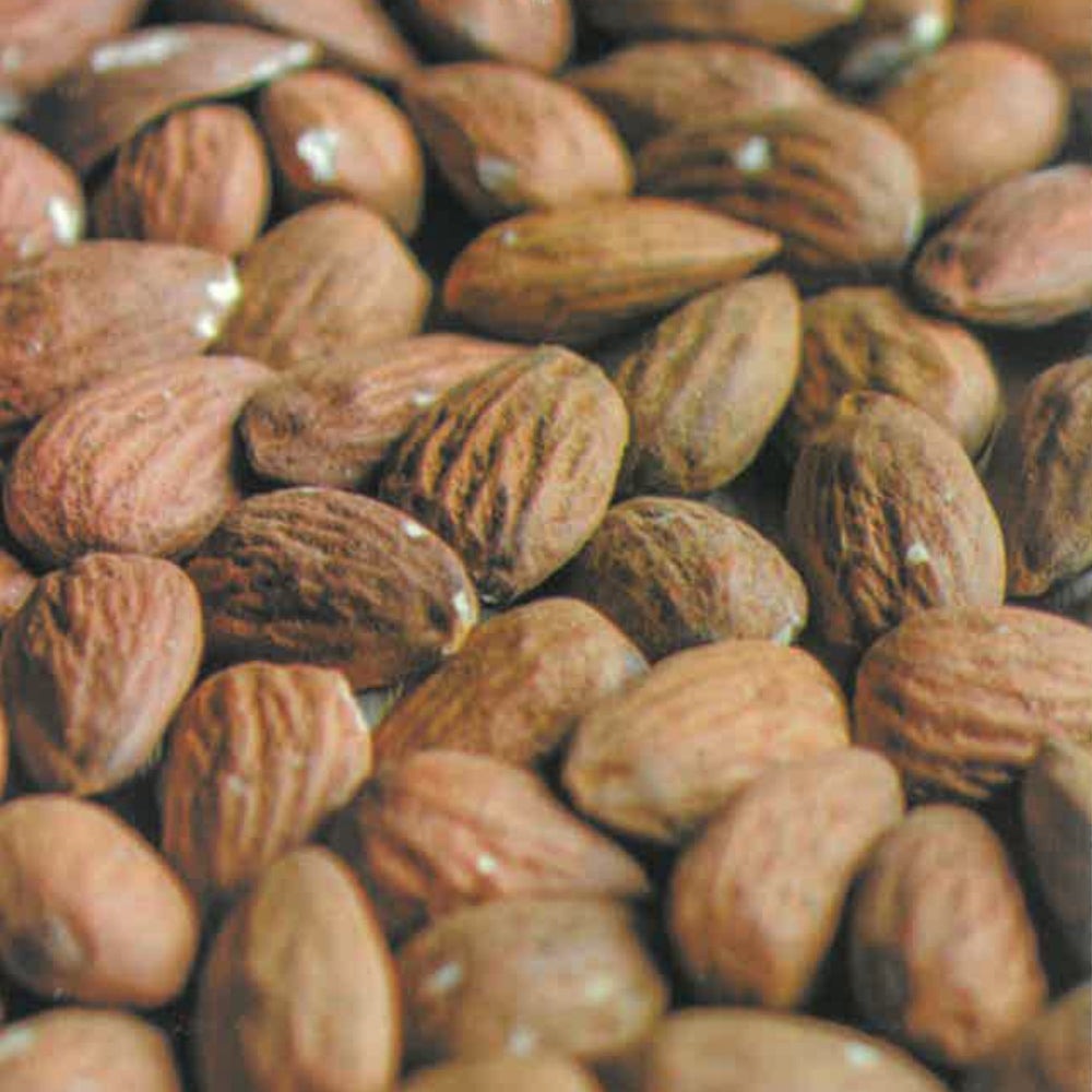 MANDORLO FILIPPO CEO - Prunus dulcis