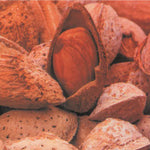 Carica immagine nel visualizzatore Galleria, MANDORLO GENCO - Prunus dulcis
