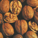 Carica immagine nel visualizzatore Galleria, NOCE COMUNE - Juglans regia
