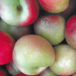 Carica immagine nel visualizzatore Galleria, PESCA NOCE AMBRA - Prunus persica
