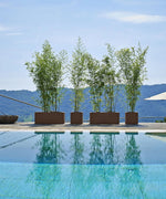 Carica immagine nel visualizzatore Galleria, KUBE - CASSETTA CON DOPPIA PARETE
