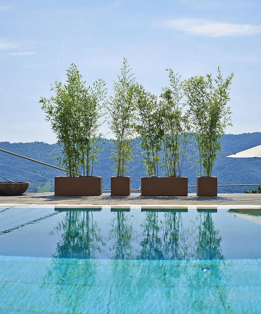 KUBE - CASSETTA CON DOPPIA PARETE