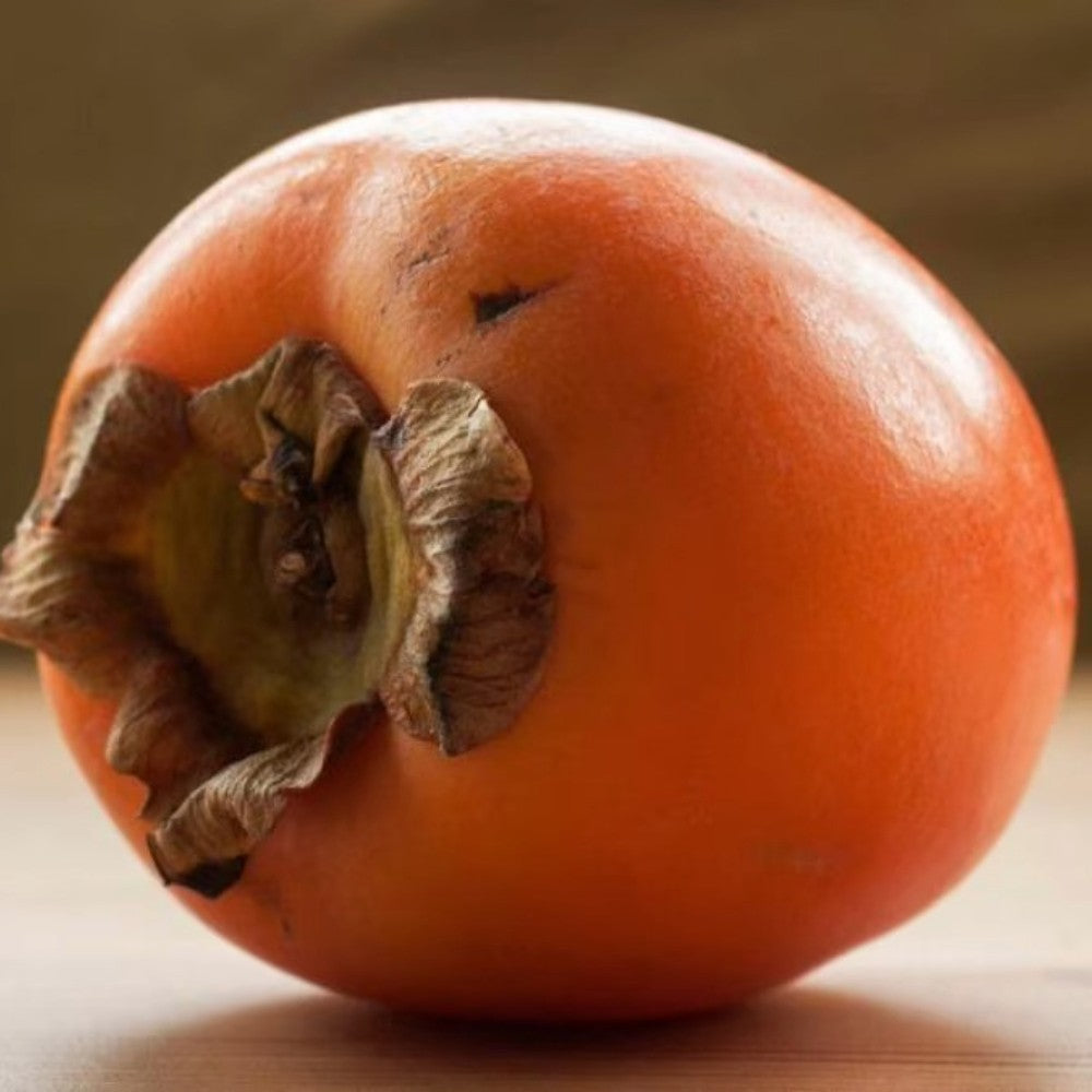 PIANTA DA FRUTTO CACO VANIGLIA in vaso 20 età 2/3 anni (foto reali)