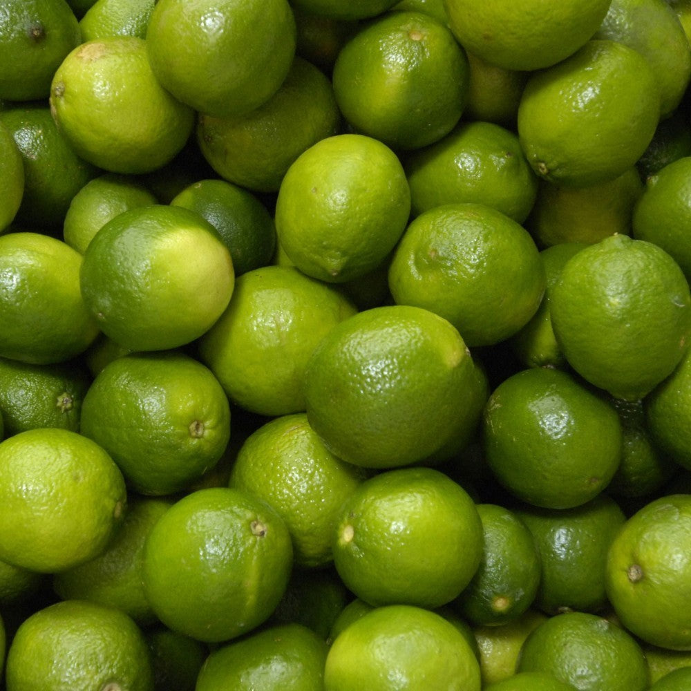PIANTA DI LIMONE VERDELLO in fitocella - età 2/3 anni