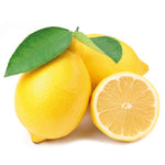 Carica immagine nel visualizzatore Galleria, PIANTA DI LIMONE LUNARIO IN VASO BIANCO 110/120 con frutto