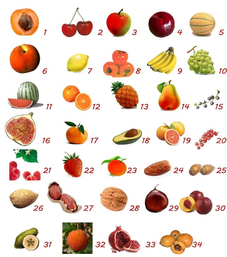Piante da Frutto – Varie Specie – Vaso 20 e 24 – Piante 2-4 Anni