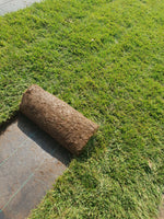 Carica immagine nel visualizzatore Galleria, PRATO INGLESE NATURALE A ROTOLI 5 METRI QUADRI ( festuca + poa )