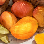 Carica immagine nel visualizzatore Galleria, PIANTA DA FRUTTO TROPICALE MANGO KENSINGTON in vaso 20 età 2/3 anni (foto reali)