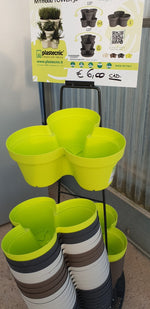 Carica immagine nel visualizzatore Galleria, TRIS DI AROMATICHE IN VASO (foto reale)