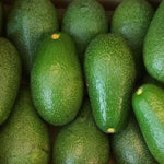 Carica immagine nel visualizzatore Galleria, PIANTA DA FRUTTO TROPICALE AVOCADO FUERTE in vaso 20 età 2/3 anni