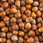 Carica immagine nel visualizzatore Galleria, PIANTA DA FRUTTO NOCCIOLO MORTARELLA in vaso 20 età 2/3 anni (foto reali)