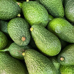 Carica immagine nel visualizzatore Galleria, PIANTA DA FRUTTO TROPICALE AVOCADO HASS in vaso 20 età 2/3 anni (foto reali)