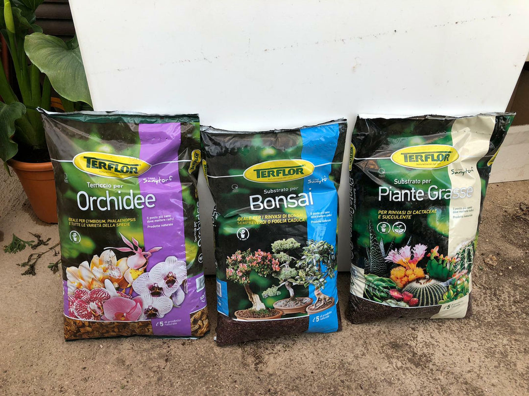 N 1 SACCO DA 20 LT DI TERRICCIO SUBSTRATO PER ACIDOFILE