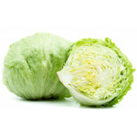 Carica immagine nel visualizzatore Galleria, N.12 PIANTE DI INSALATA LATTUGA ICEBERG IN ALVEOLO (foto reale) piante da orto