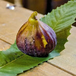 Carica immagine nel visualizzatore Galleria, PIANTA DA FRUTTO FICO SAN MANGO in vaso 20 età 2 anni (foto reali)