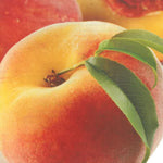Carica immagine nel visualizzatore Galleria, PESCA MAYCREST - Prunus persica
