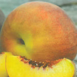 Carica immagine nel visualizzatore Galleria, PESCA SPRINGCREST - Prunus persica
