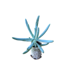 Carica immagine nel visualizzatore Galleria, Serpens Blue Chalksticks - Senecio Candicans (in alveolo)
