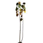 Carica immagine nel visualizzatore Galleria, TIGLIO - Tilia cordata
