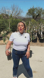 Carica e riproduci video nel visualizzatore Galleria, PIANTA DI CARRUBO INNESTATA VARIETA' RAMILLETE ERMAFRODITA IN VASO (foto reale)